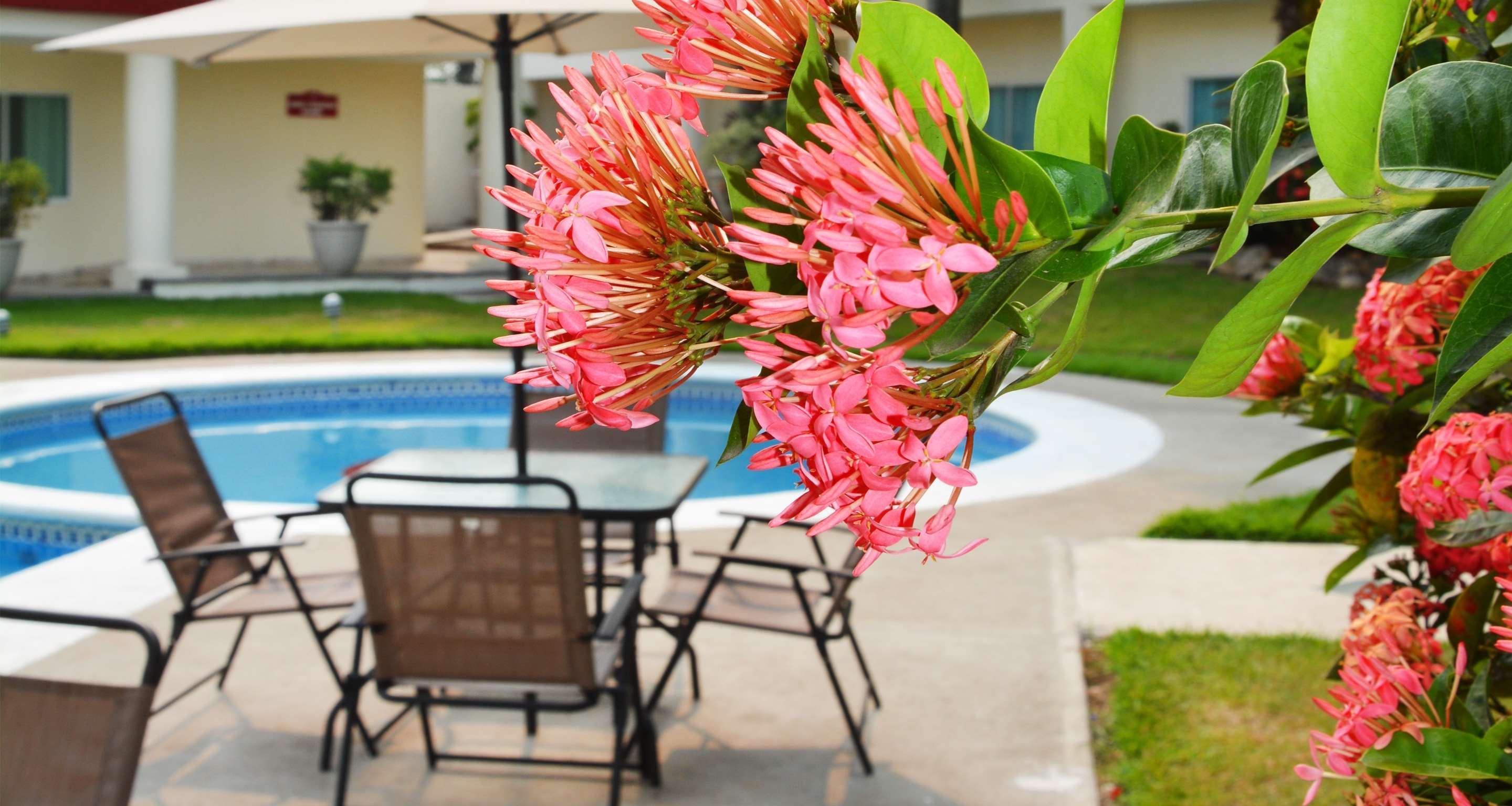 Gran Tuxtepec Plaza Hotel Bagian luar foto